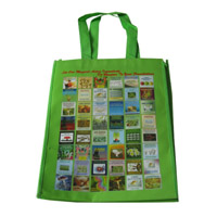 洛阳LB11覆膜无纺布广告袋